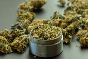 Grinder closeup with crumbled marijuana and cannabis buds in the background.