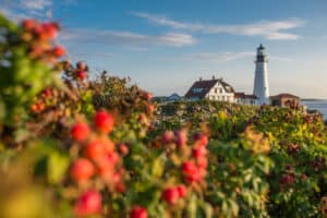 Lighthouse, Beach, Natural Landmark, Sea, Summer
